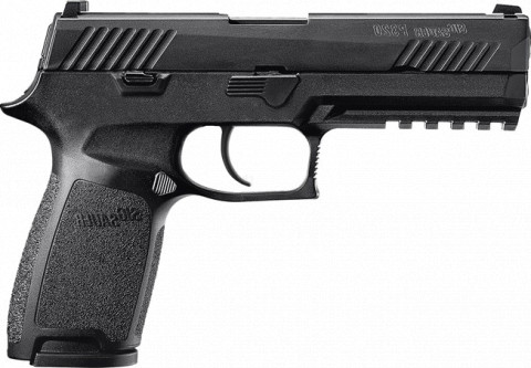 Sig Sauer P320 Nitron Full Size