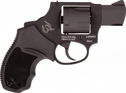 Taurus 380